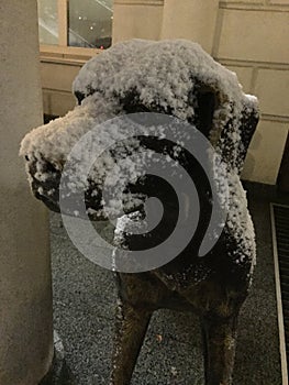 ItÃ¢â¬â¢s a metal dog in snow in Kyiv in Praha restorante photo